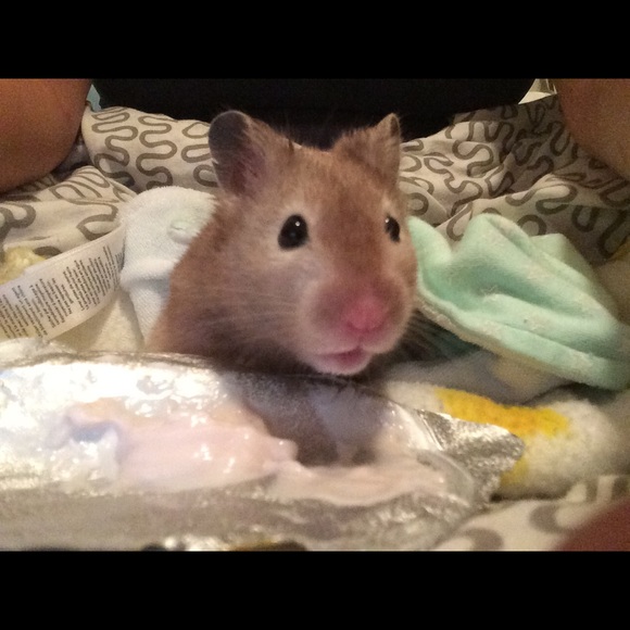 About Me! - Picture 4 of 5